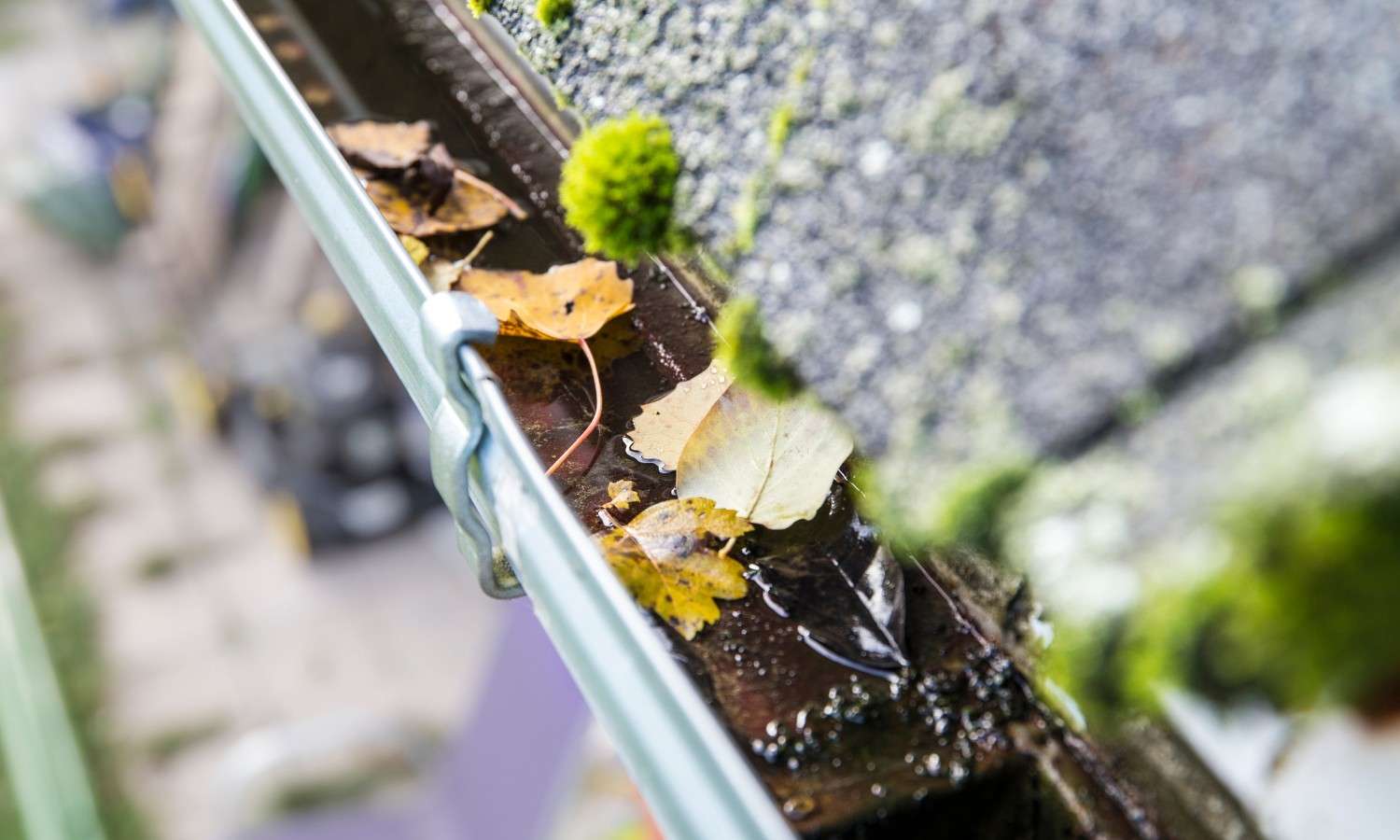 Gutter Cleaning South Dublin