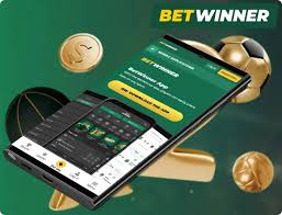 BetWinner in Cameroon Your Ultimate Guide to Online Betting